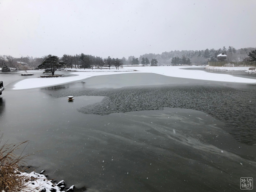 f:id:cippillo:20190215140846j:plain