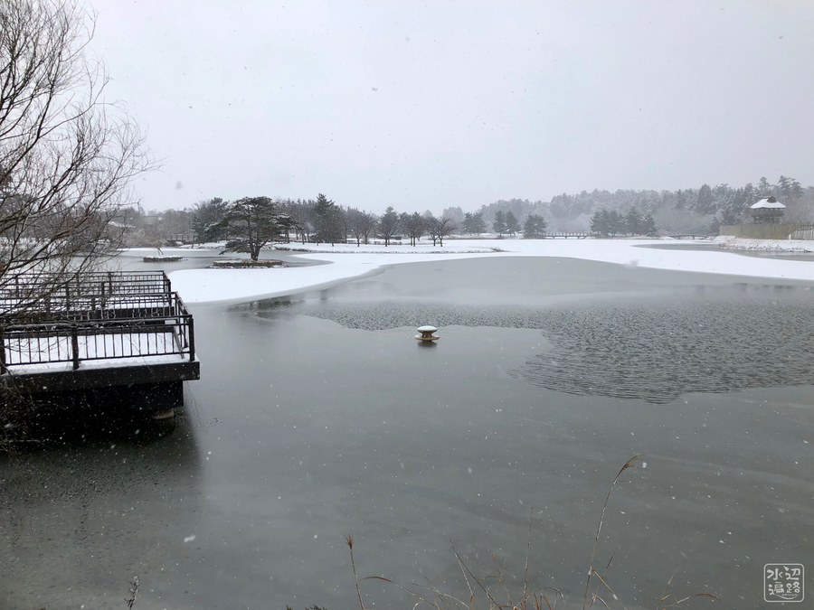 f:id:cippillo:20190215140847j:plain