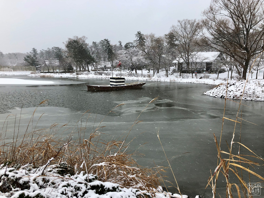 f:id:cippillo:20190215140848j:plain