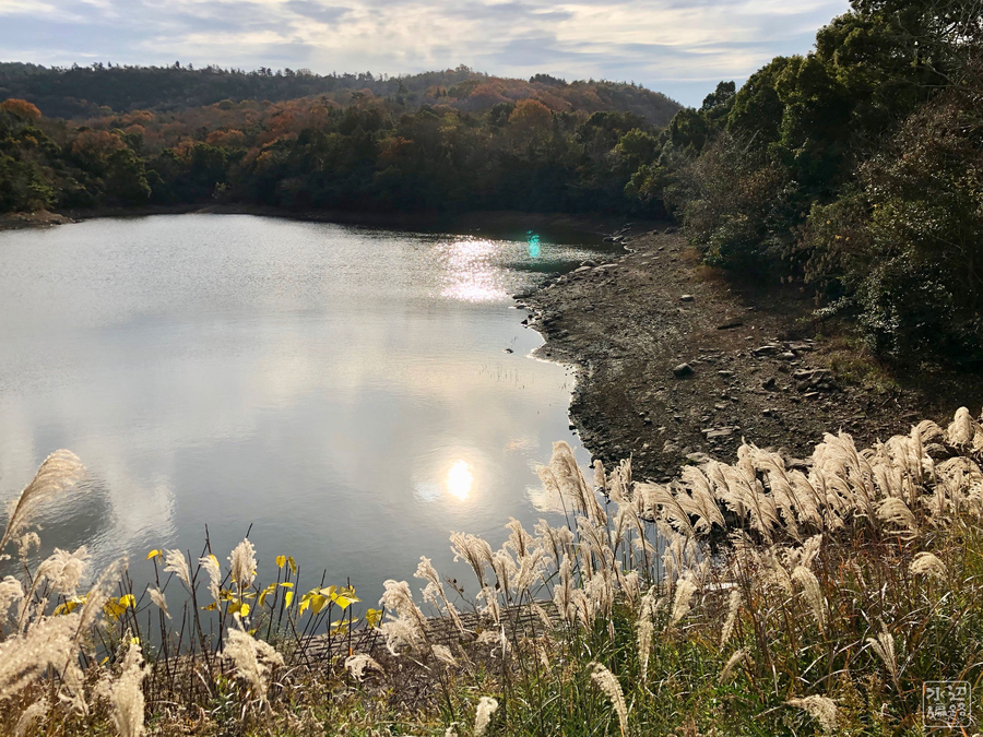 f:id:cippillo:20190218091055j:plain