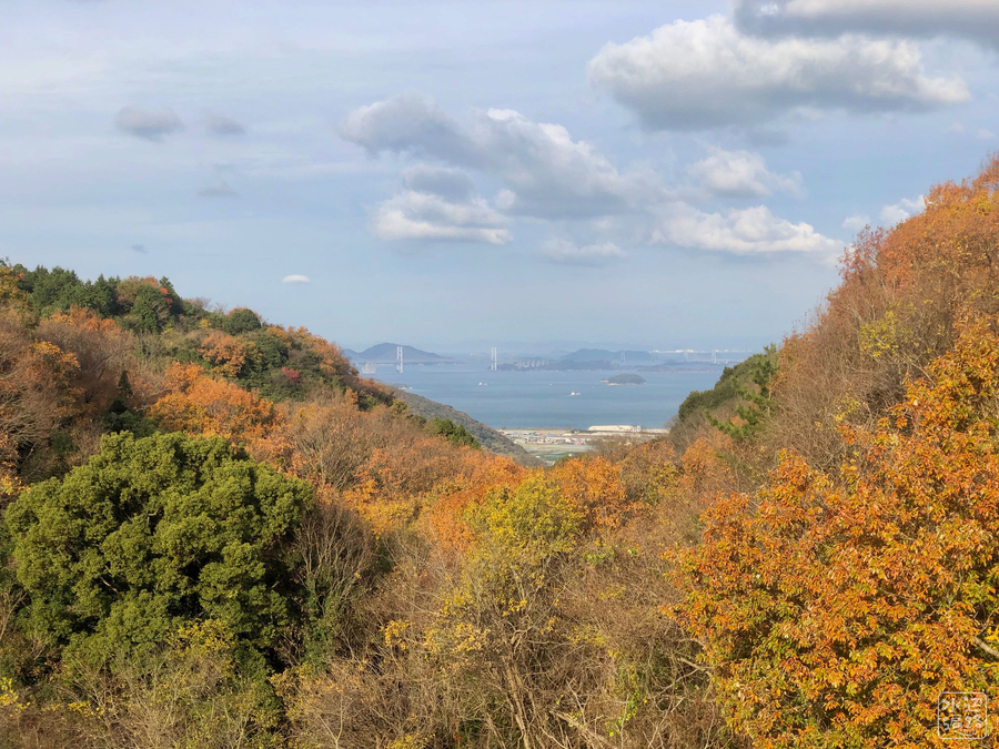 f:id:cippillo:20190218091056j:plain