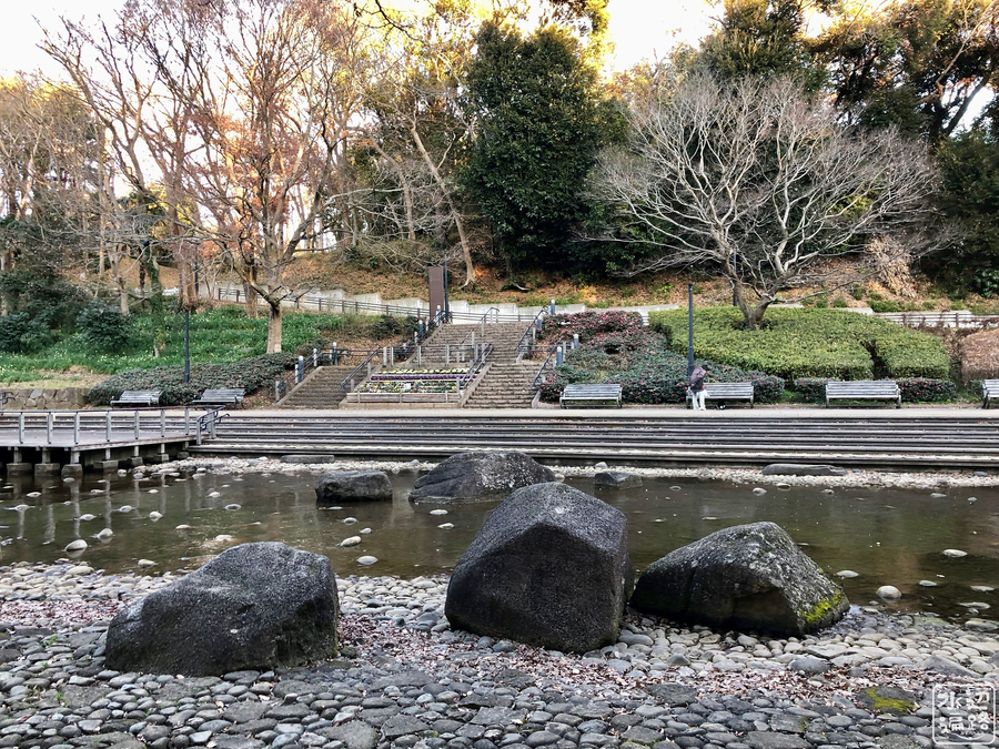 f:id:cippillo:20190302101605j:plain