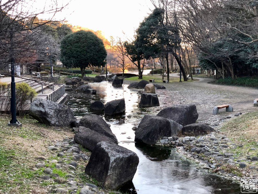 f:id:cippillo:20190302101609j:plain