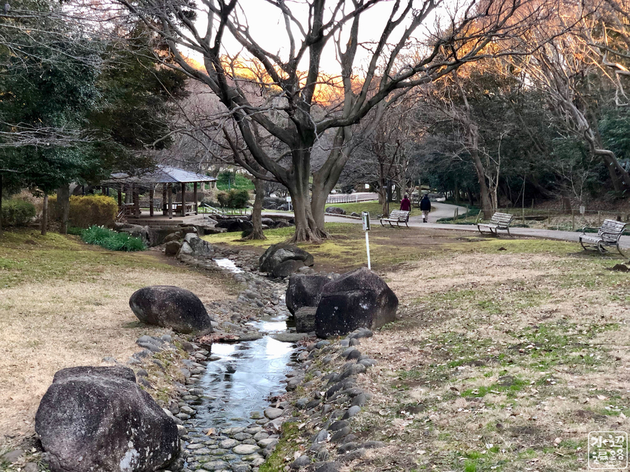 f:id:cippillo:20190302101611j:plain