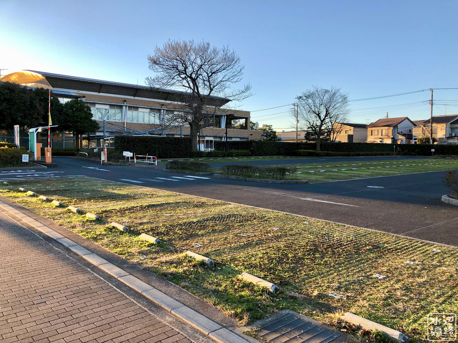 f:id:cippillo:20190302101612j:plain