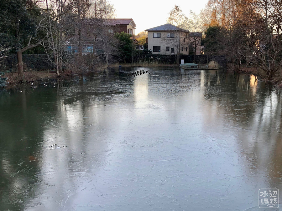 f:id:cippillo:20190302101625j:plain