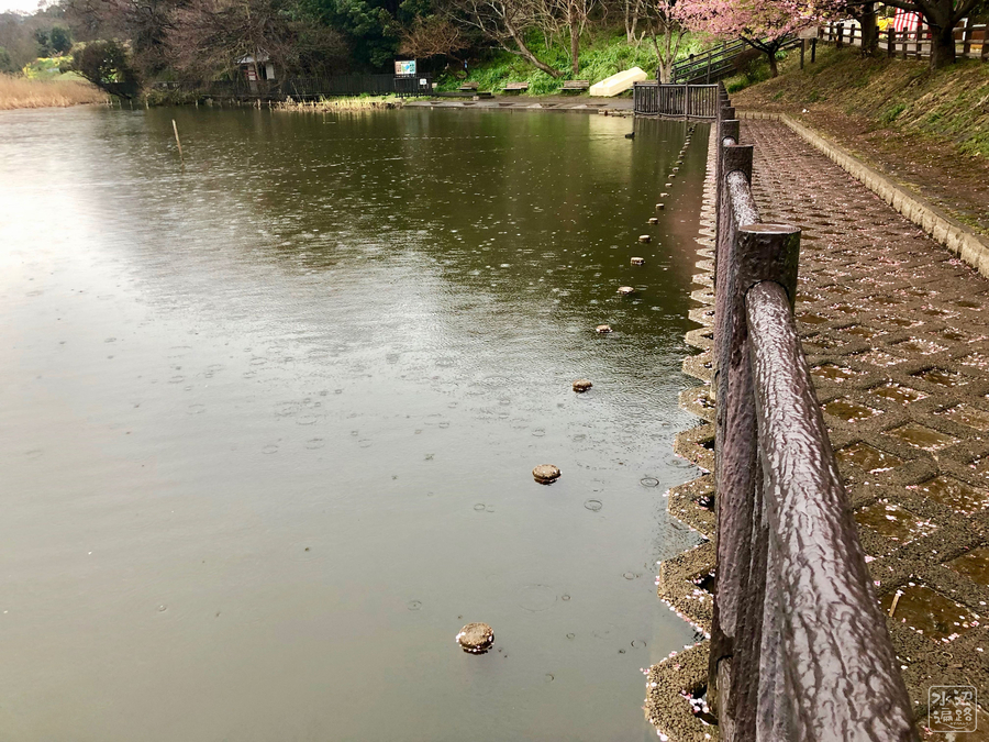 f:id:cippillo:20190305125723j:plain
