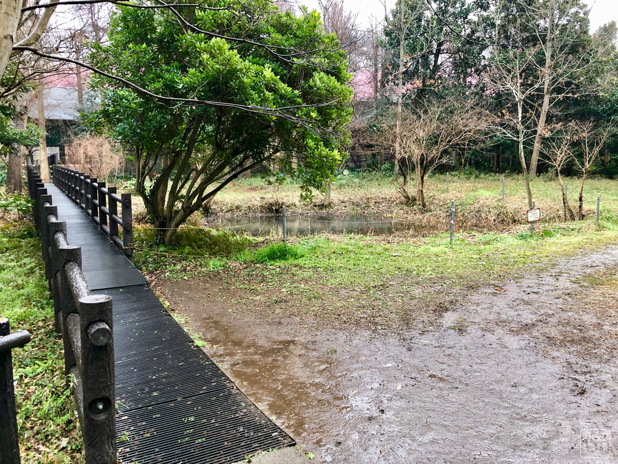 f:id:cippillo:20190306144459j:plain