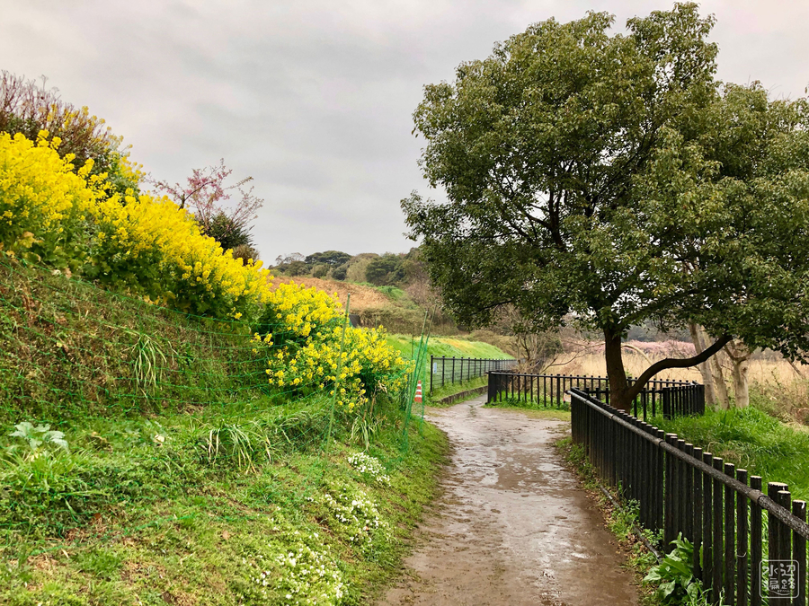 f:id:cippillo:20190306144500j:plain