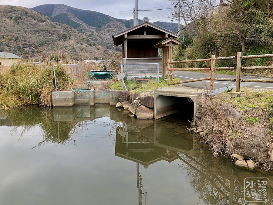 f:id:cippillo:20190318003050j:plain f:id:cippillo:20190318003050j:plain