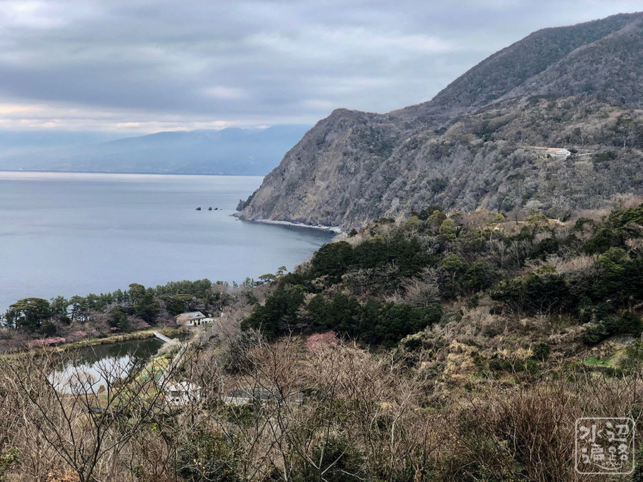 f:id:cippillo:20190318111622j:plain f:id:cippillo:20190318111622j:plain