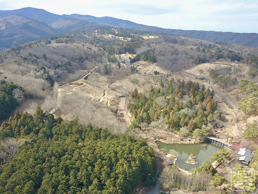 f:id:cippillo:20190318195725j:plain