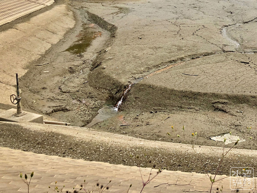 f:id:cippillo:20190321133148j:plain