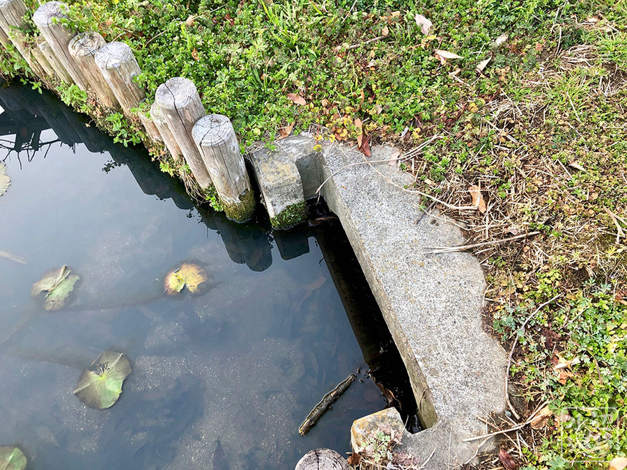 f:id:cippillo:20190322143927j:plain f:id:cippillo:20190322143927j:plain