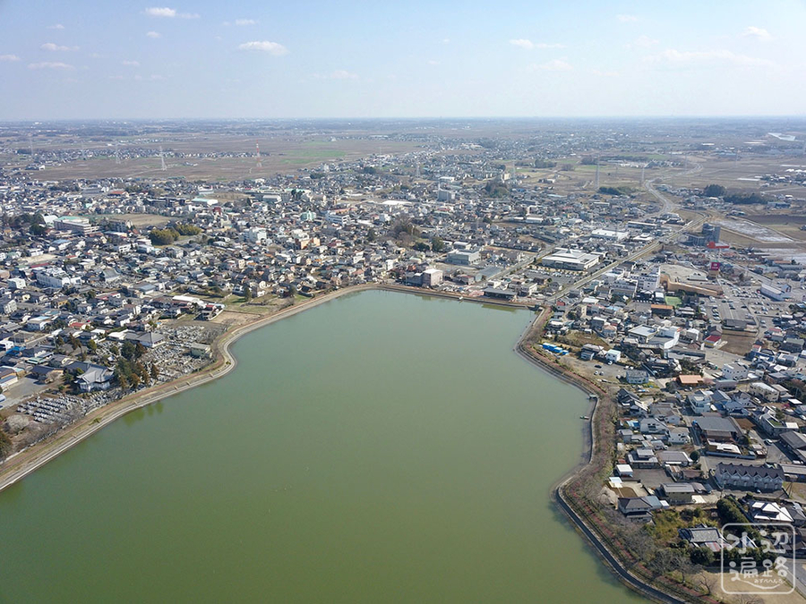 f:id:cippillo:20190323104525j:plain