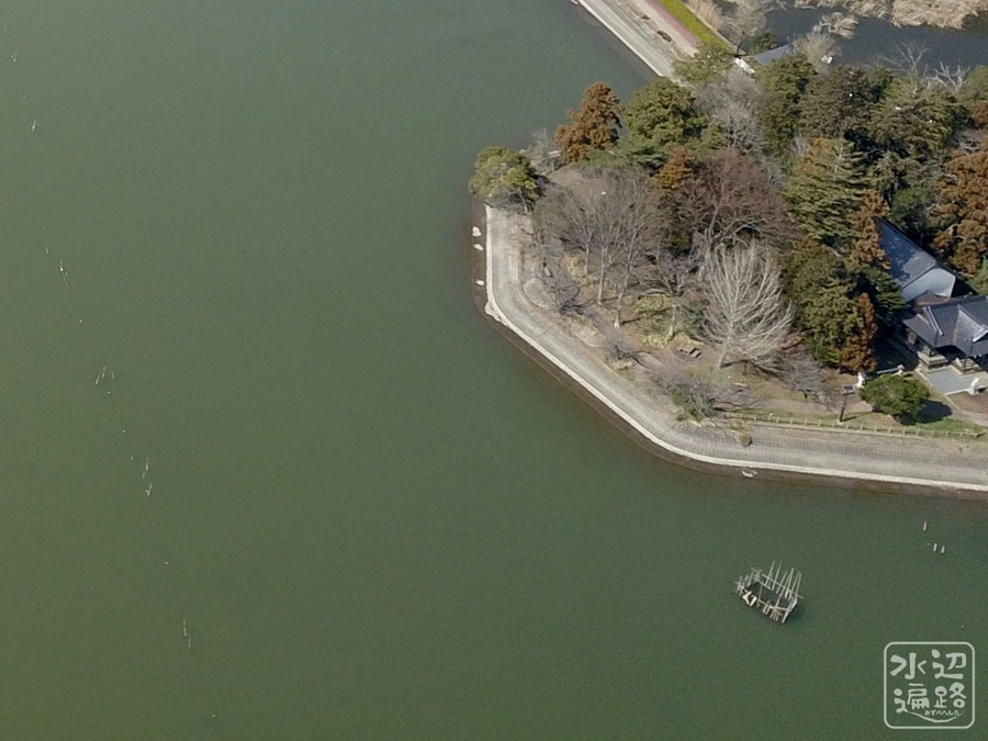 f:id:cippillo:20190323104527j:plain