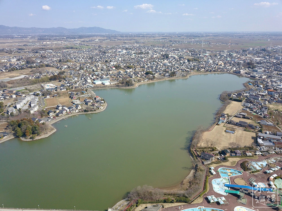 f:id:cippillo:20190323104532j:plain