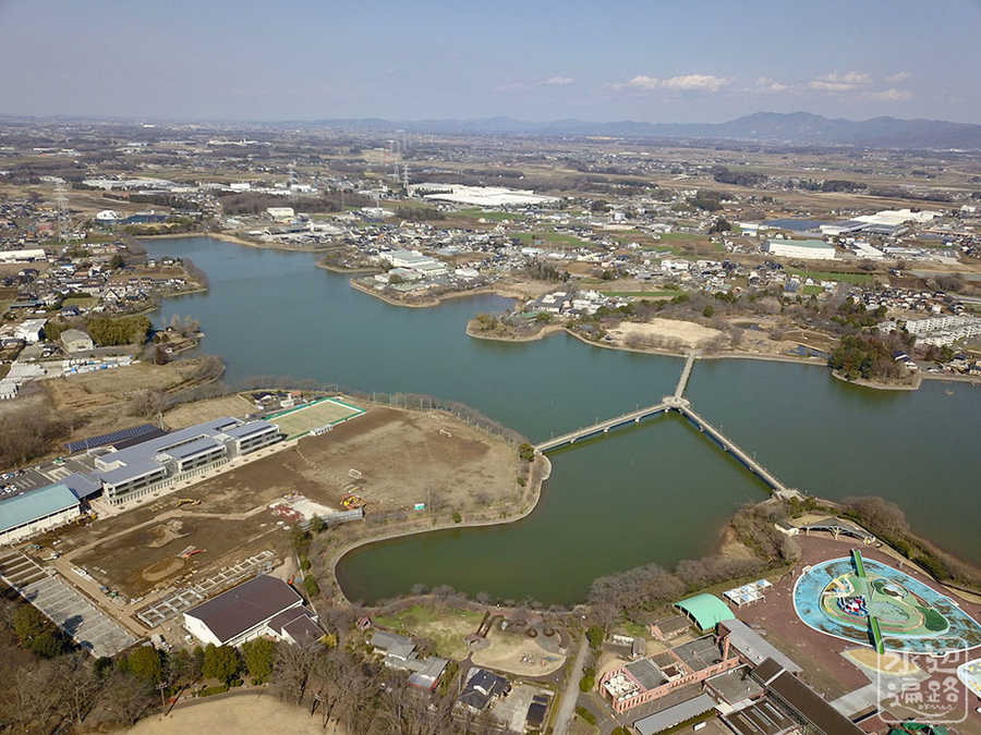 f:id:cippillo:20190323104533j:plain