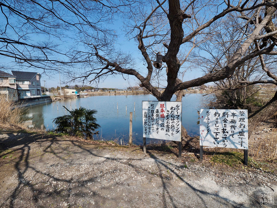 仕出沼 埼玉県加須 水辺遍路