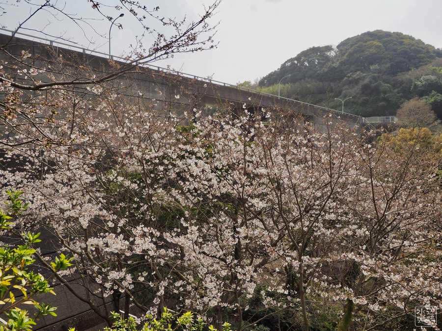 f:id:cippillo:20190328212945j:plain f:id:cippillo:20190328212945j:plain