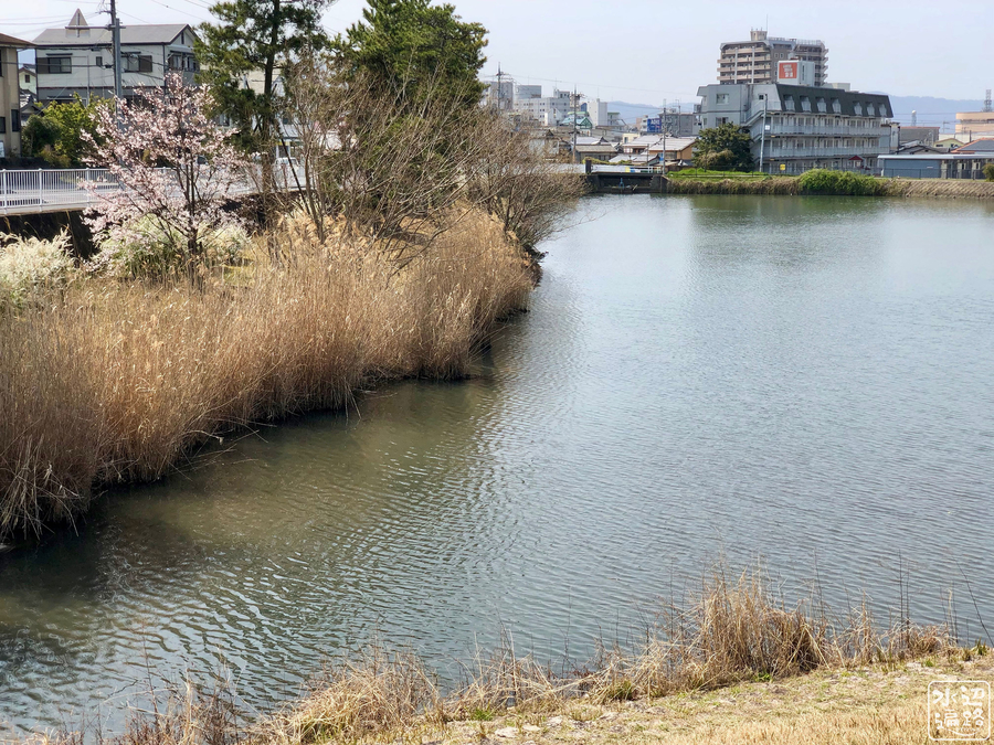 f:id:cippillo:20190408100921j:plain f:id:cippillo:20190408100921j:plain