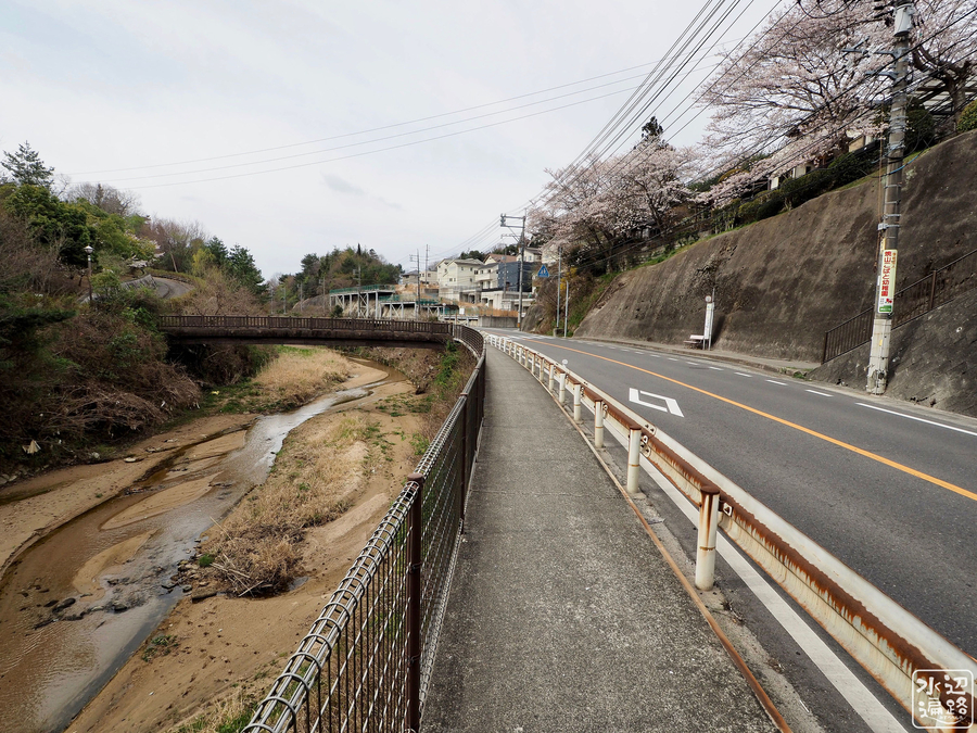 f:id:cippillo:20190410103545j:plain