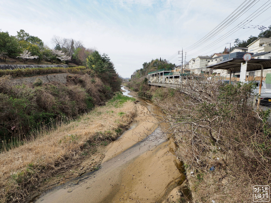 f:id:cippillo:20190410103557j:plain