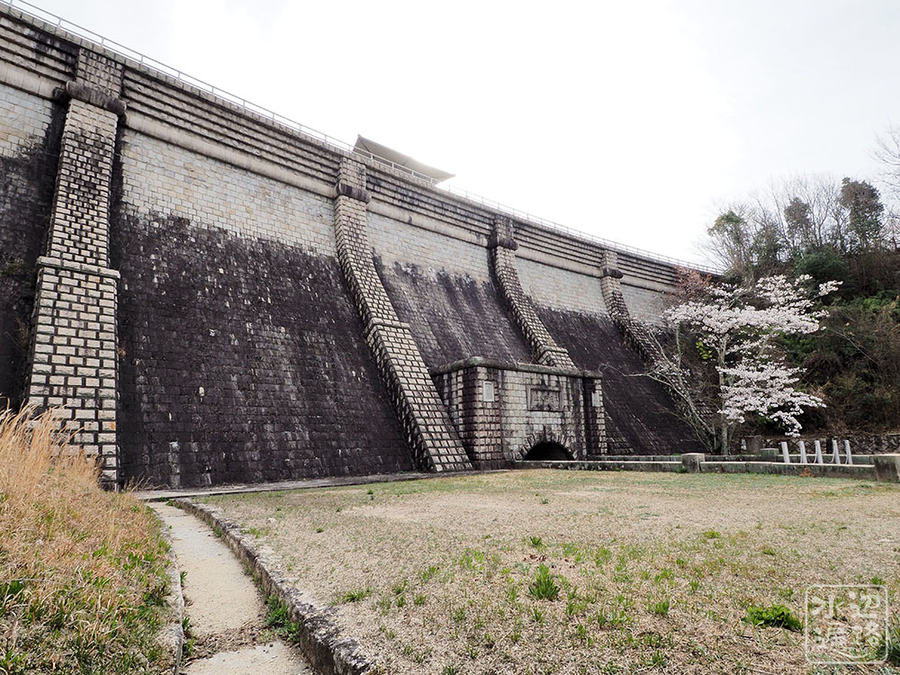 f:id:cippillo:20190410103621j:plain