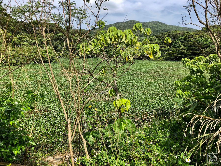 f:id:cippillo:20190410103626j:plain f:id:cippillo:20190410103626j:plain