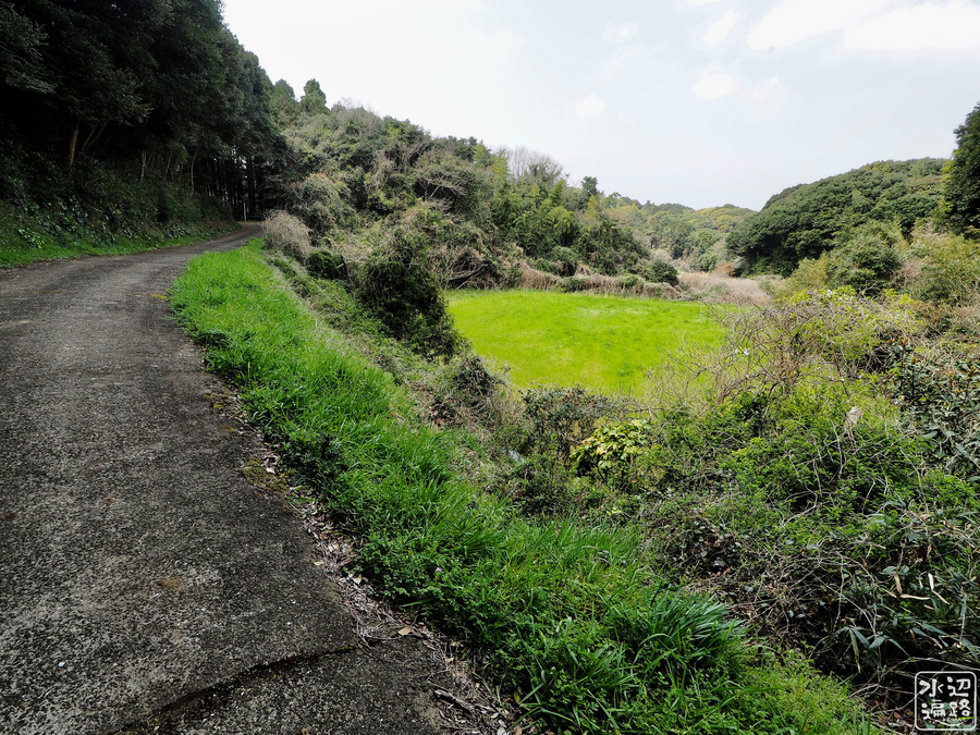 f:id:cippillo:20190411121317j:plain