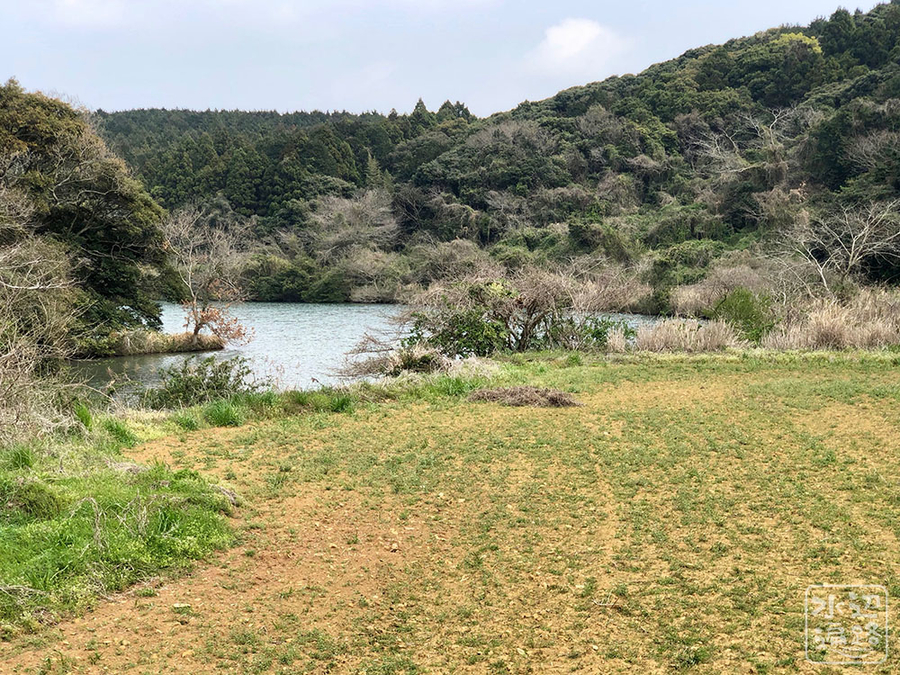 f:id:cippillo:20190411151623j:plain