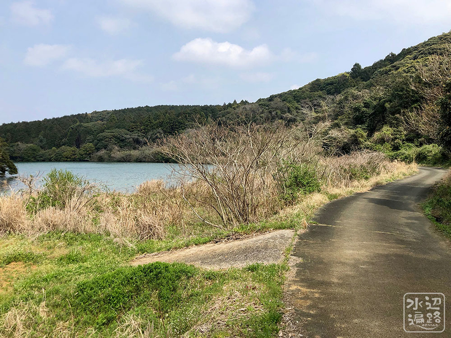 f:id:cippillo:20190411151624j:plain