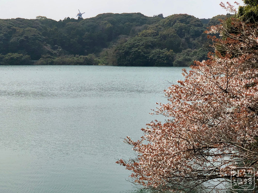 f:id:cippillo:20190411151627j:plain