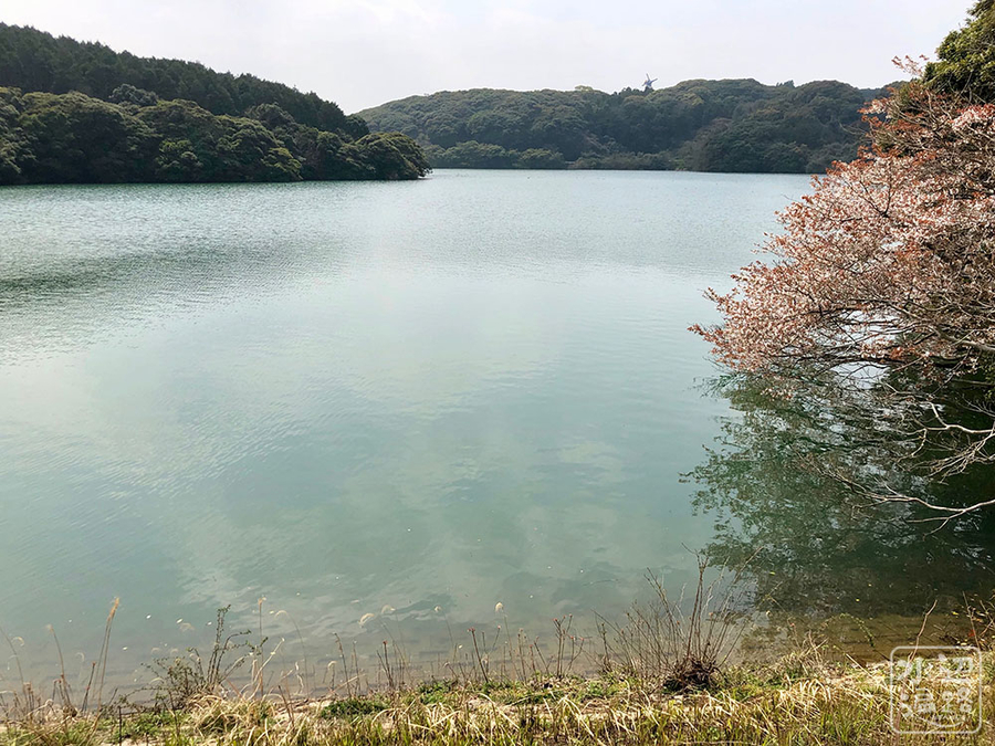 f:id:cippillo:20190411151630j:plain