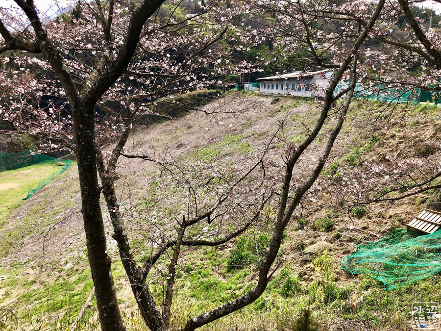 f:id:cippillo:20190420090732j:plain
