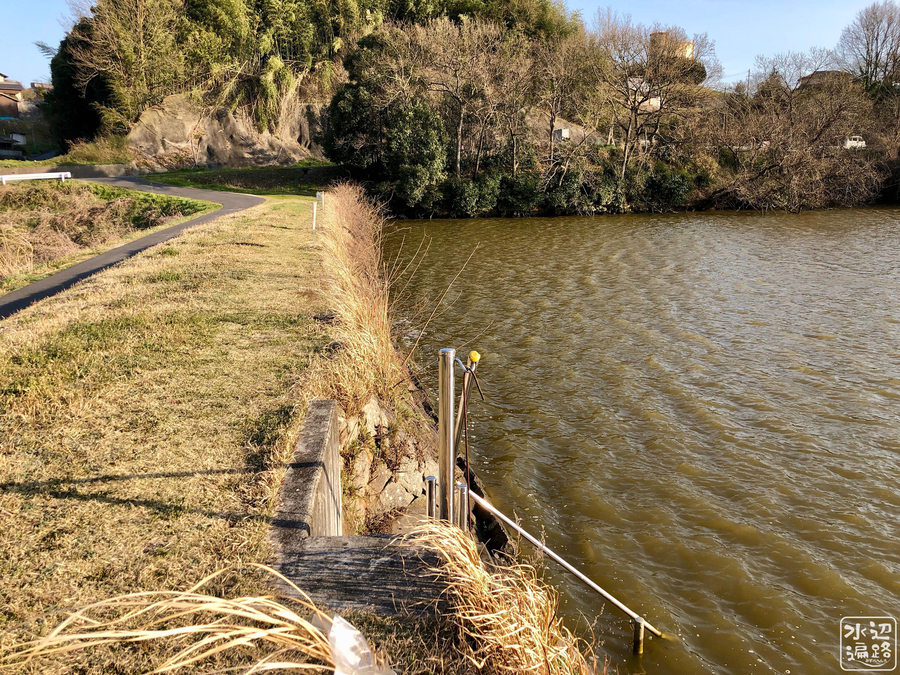 f:id:cippillo:20190422101157j:plain