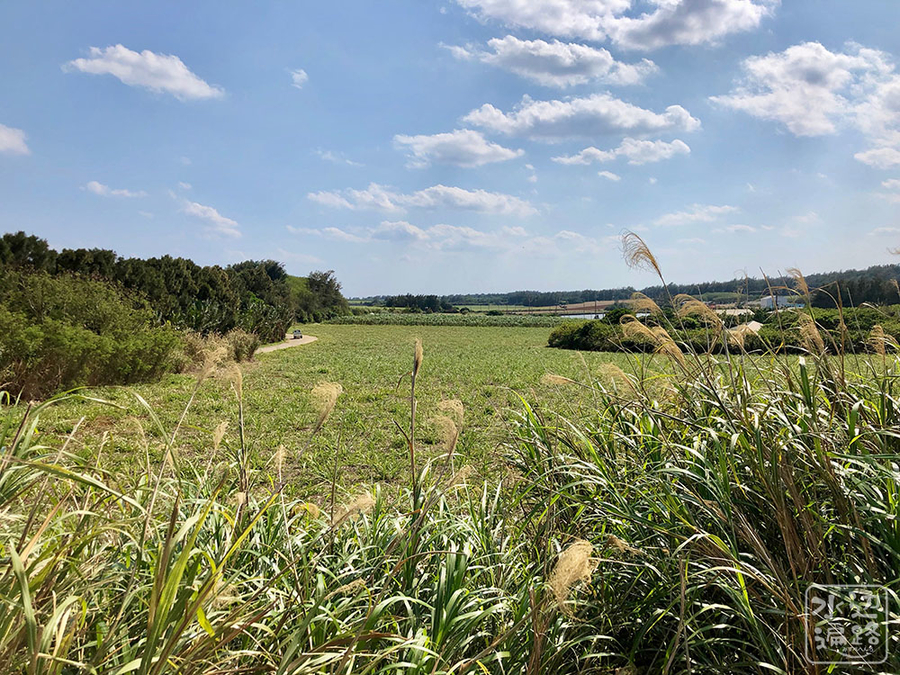 f:id:cippillo:20190422101233j:plain f:id:cippillo:20190422101233j:plain