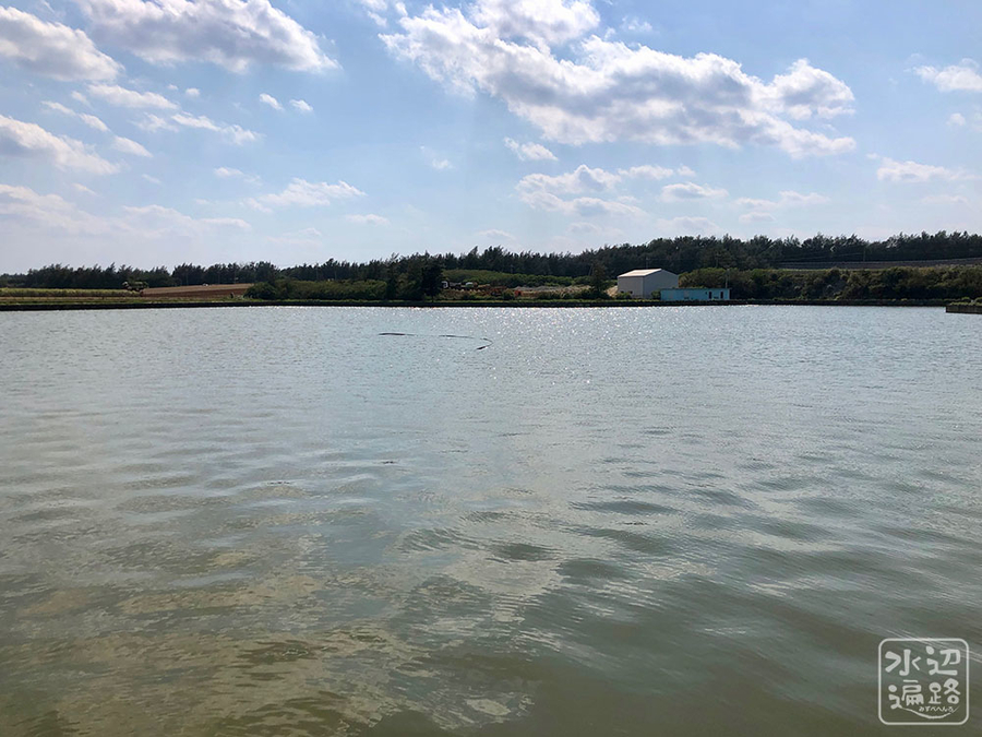 f:id:cippillo:20190422101239j:plain f:id:cippillo:20190422101239j:plain
