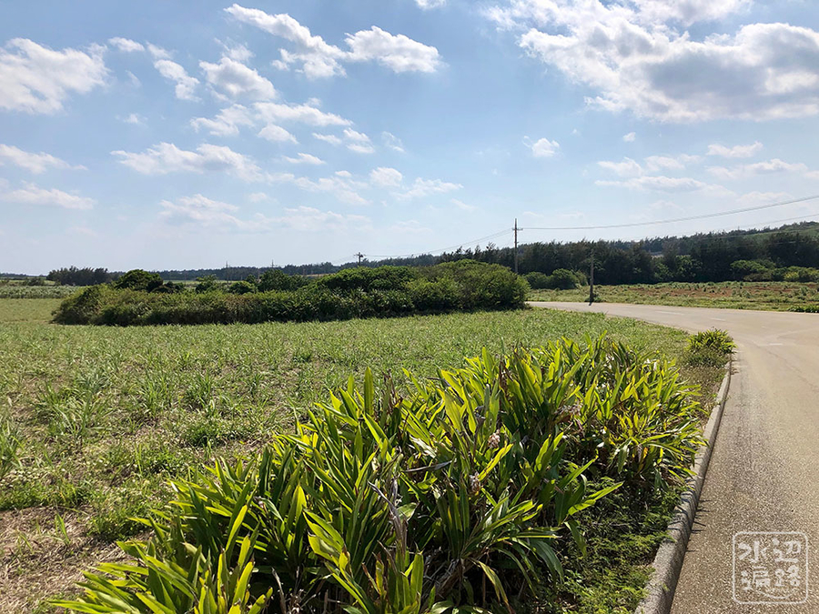 f:id:cippillo:20190422101245j:plain f:id:cippillo:20190422101245j:plain