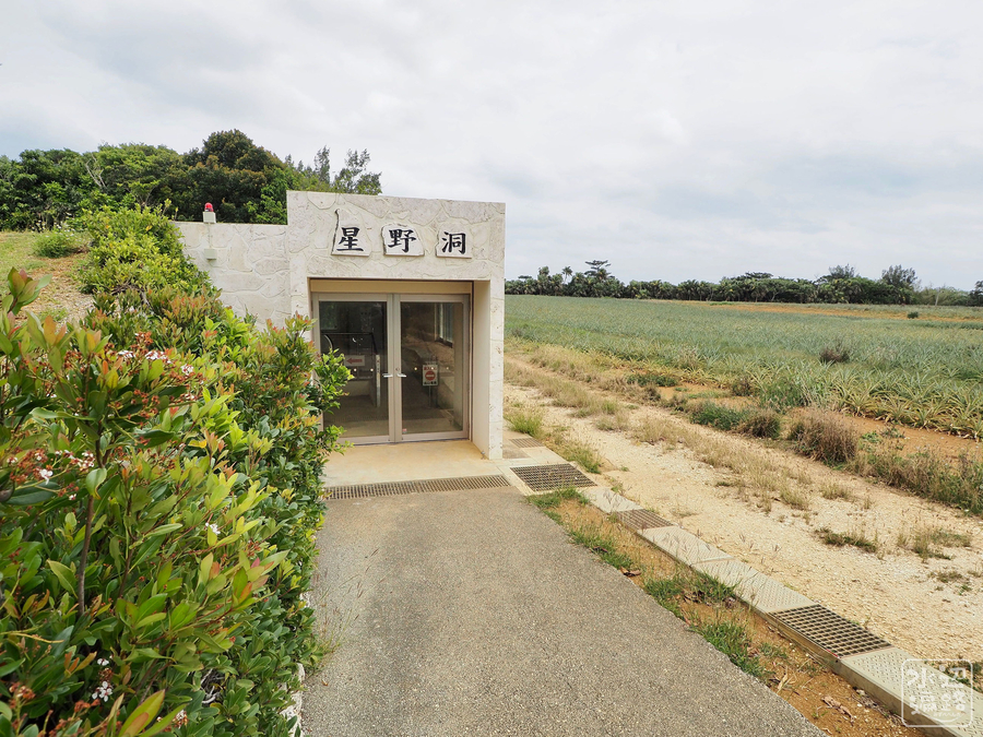 f:id:cippillo:20190423002414j:plain