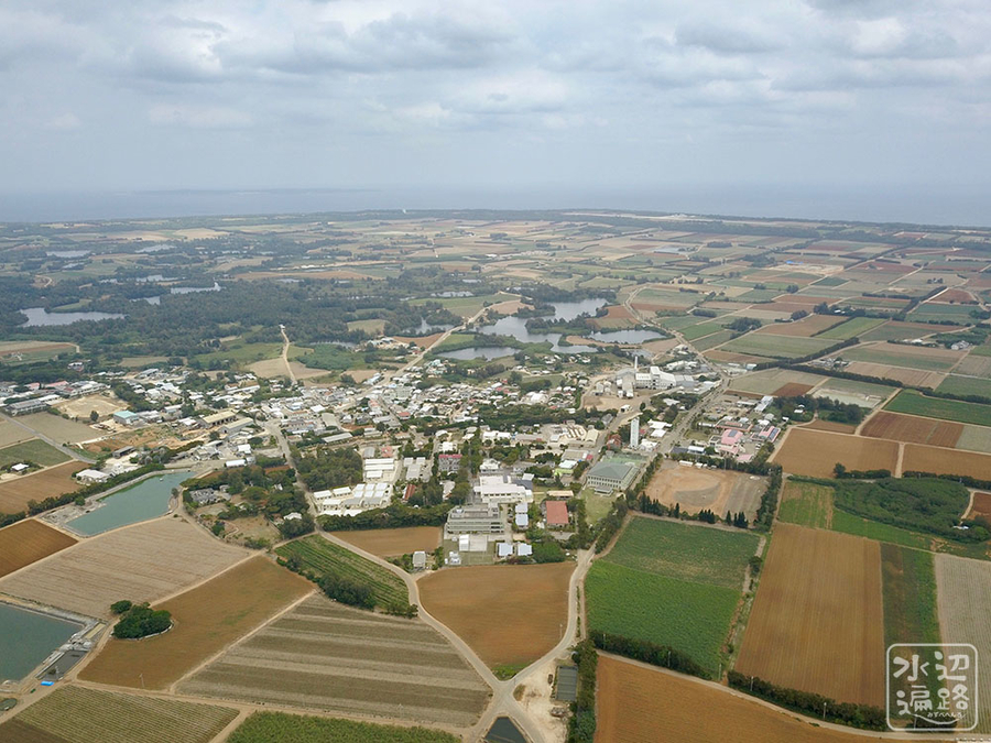 f:id:cippillo:20190423014904j:plain f:id:cippillo:20190423014904j:plain