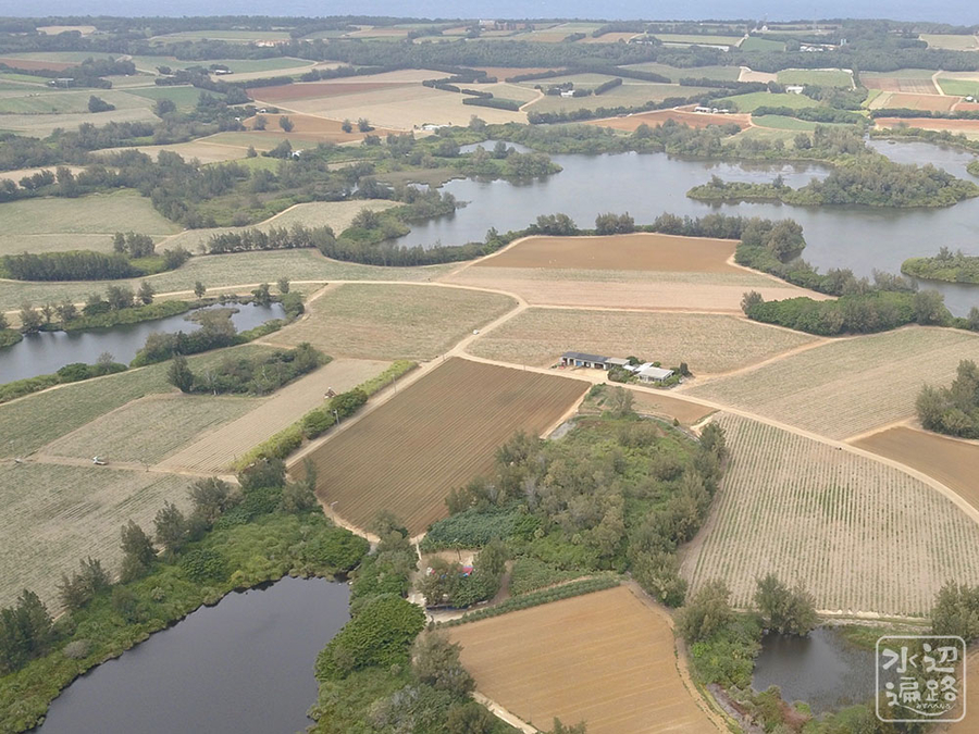 f:id:cippillo:20190423123629j:plain