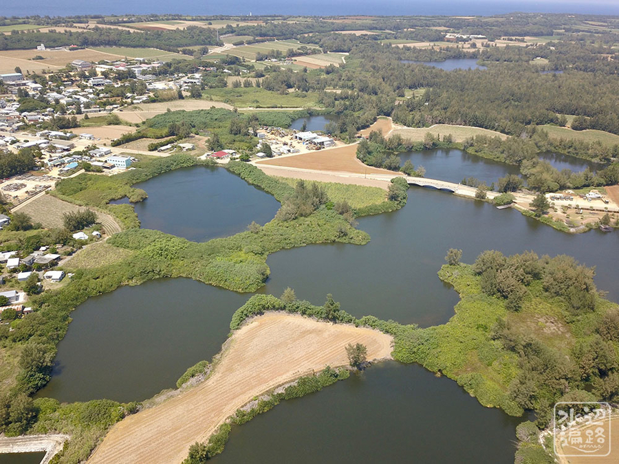 f:id:cippillo:20190423130732j:plain