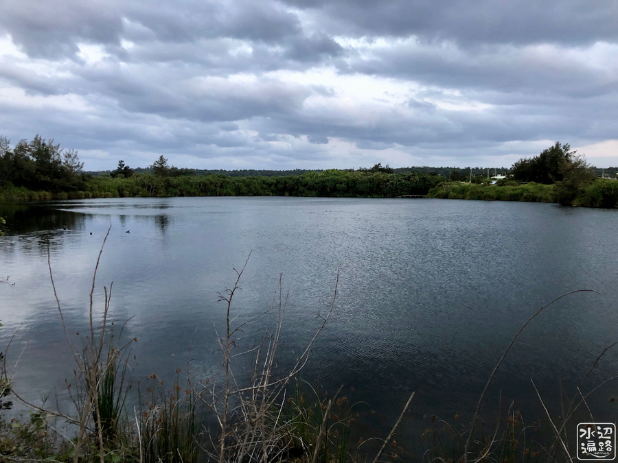 f:id:cippillo:20190423145604j:plain f:id:cippillo:20190423145604j:plain