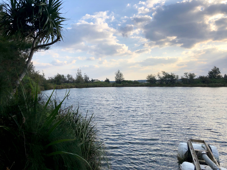 f:id:cippillo:20190423145621j:plain