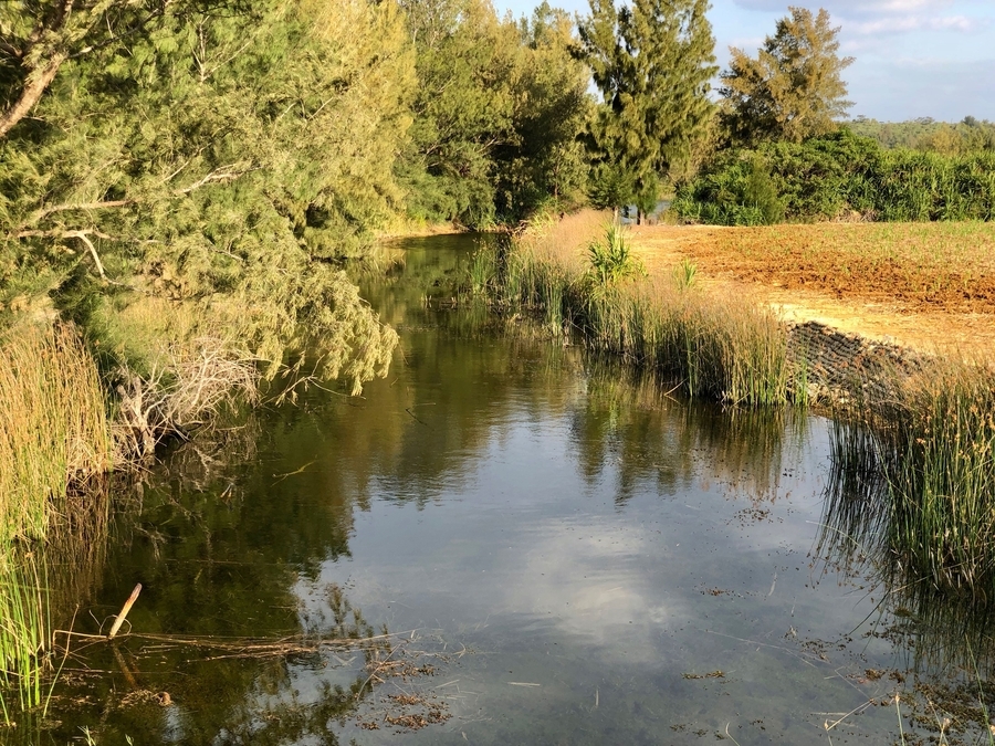 f:id:cippillo:20190424101100j:plain