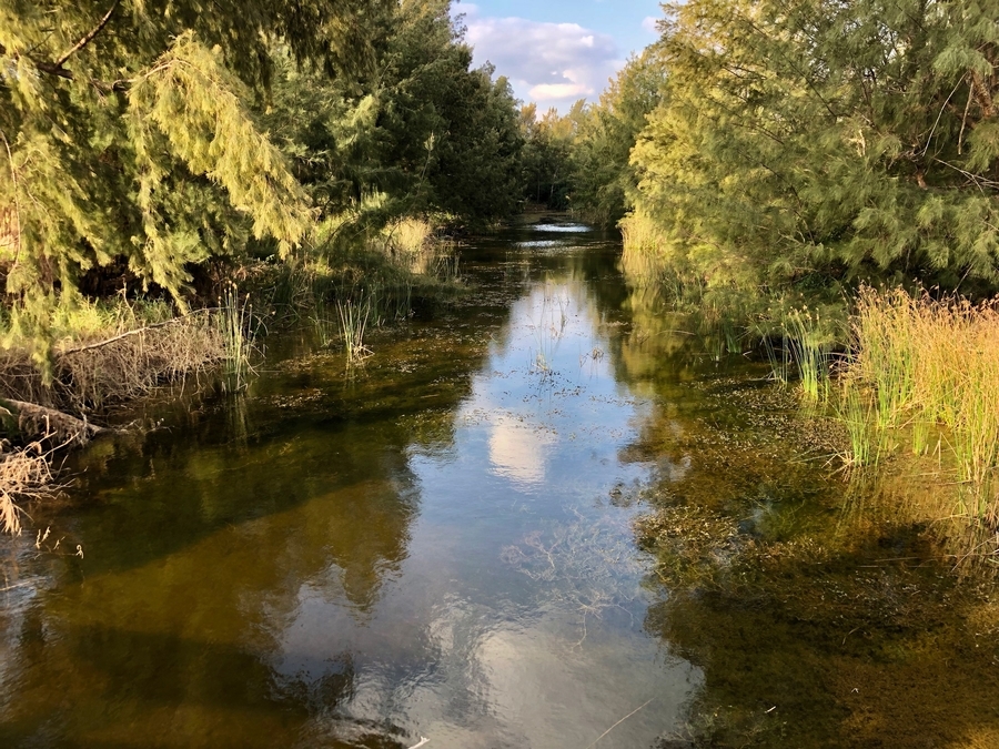 f:id:cippillo:20190424101101j:plain f:id:cippillo:20190424101101j:plain