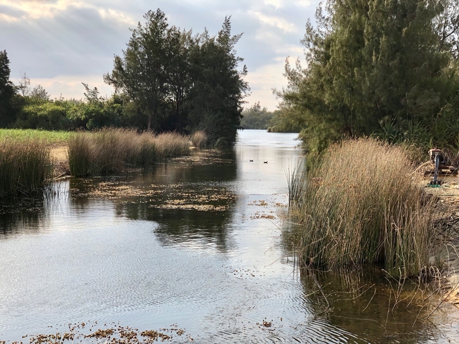 f:id:cippillo:20190424101103j:plain