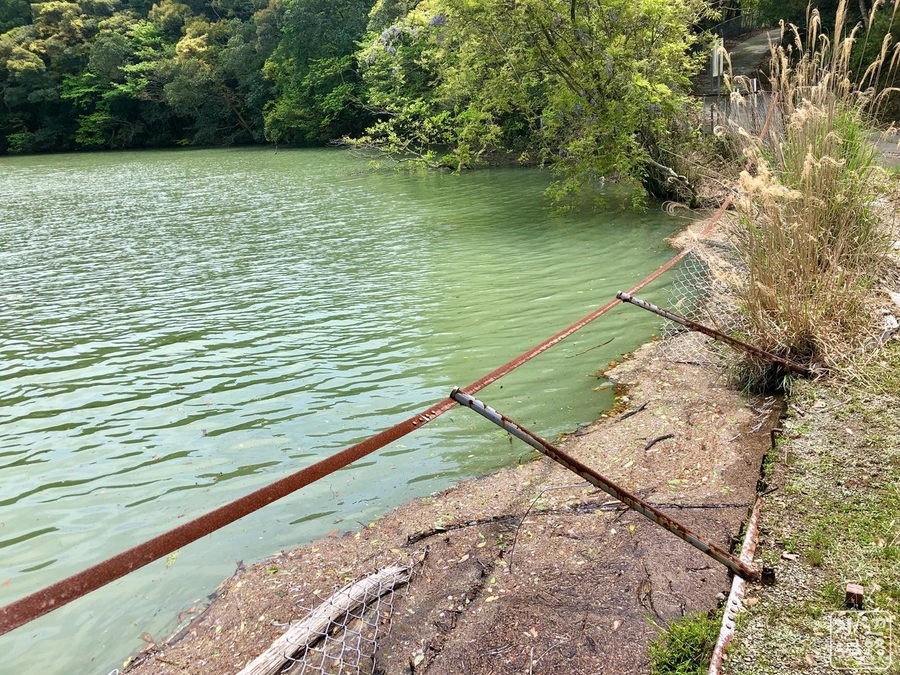 f:id:cippillo:20190428114148j:plain f:id:cippillo:20190428114148j:plain