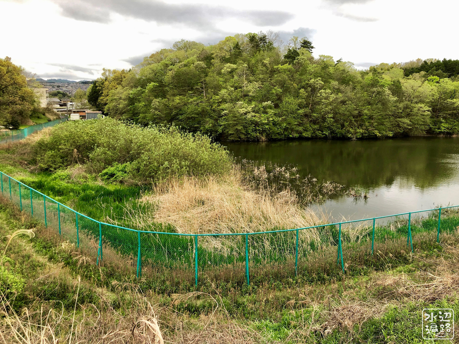 f:id:cippillo:20190430160337j:plain